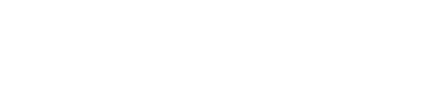 Metopus